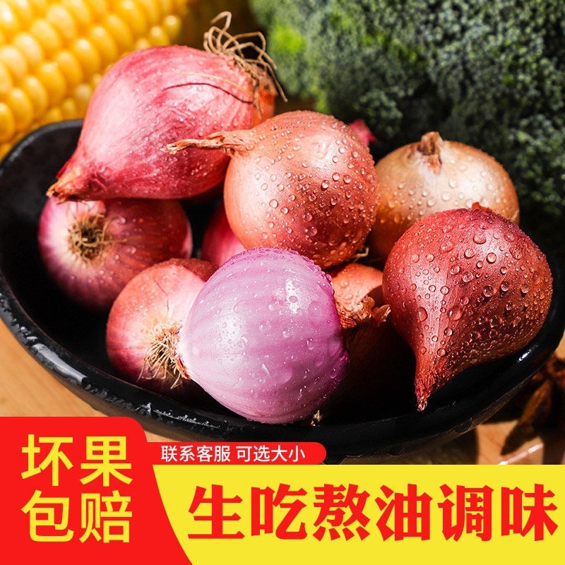 洋葱产地直发支持一件代发