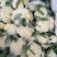安徽宿州砀山有机花白面青梗散花菜花砀山有机花菜