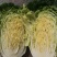 湖北精品大白菜青杂3号大量有货全国发货保证质量