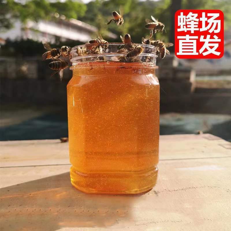 【产地销】蜂蜜深山土蜂蜜农家自产蜂蜜成熟蜜包邮