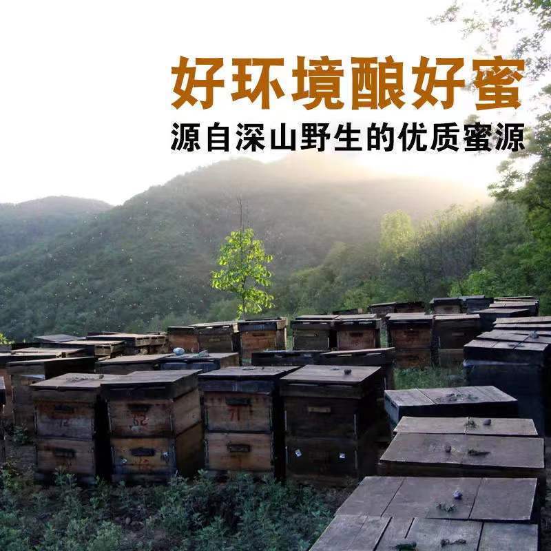 【产地销】蜂蜜深山土蜂蜜农家自产蜂蜜成熟蜜包邮