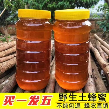 【产地销】蜂蜜深山土蜂蜜农家自产蜂蜜成熟蜜包邮