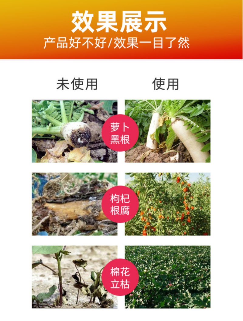 200亿全水溶枯草芽孢杆菌预防根腐土传病害杀菌生根枯草