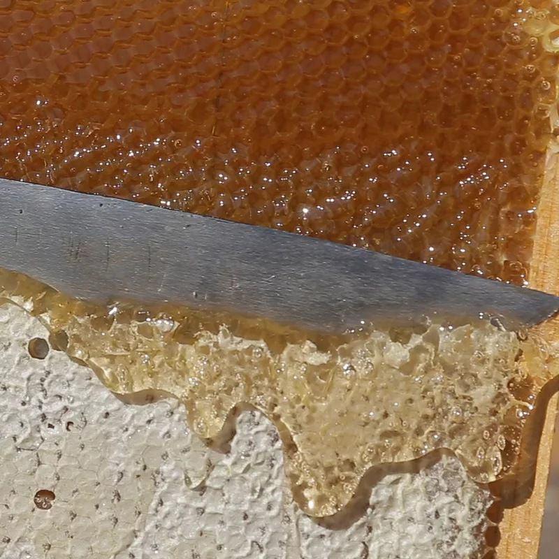 洋槐花蜜500g纯正农家自产蜂蜜正品成熟洋槐花蜂蜜包邮