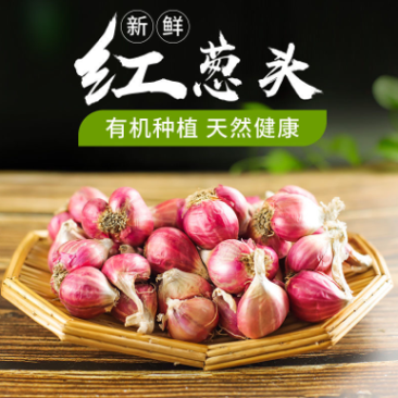 红葱头1/2/5/10斤包邮精品基地直发支持代发