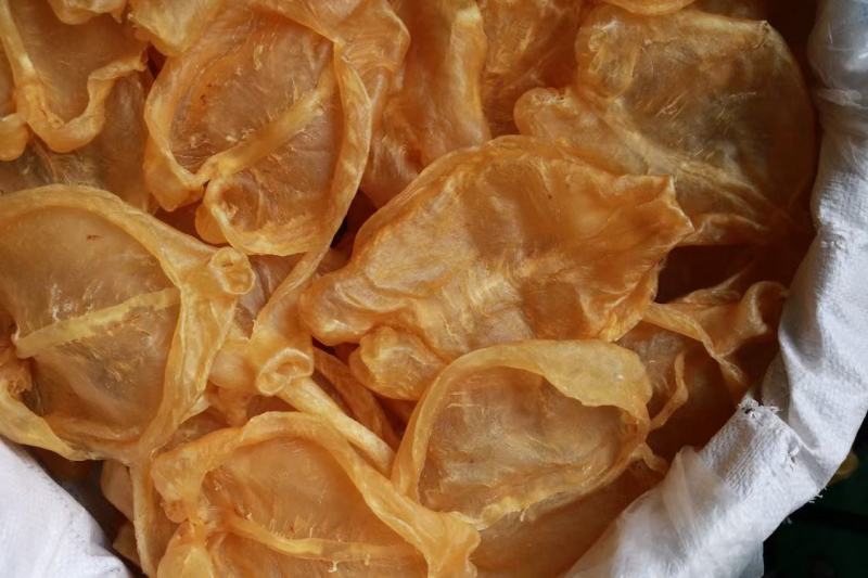 6头开边黄花胶鱼胶花胶颜色金黄色非常厚肉形状好个个都漂亮