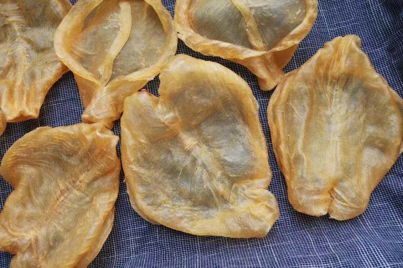6头开边黄花胶鱼胶花胶颜色金黄色非常厚肉形状好个个都漂亮