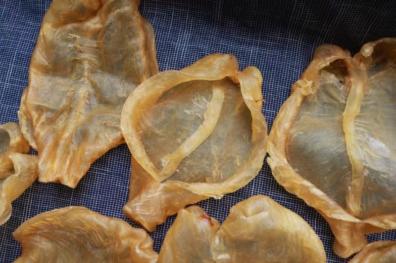 6头开边黄花胶鱼胶花胶颜色金黄色非常厚肉形状好个个都漂亮
