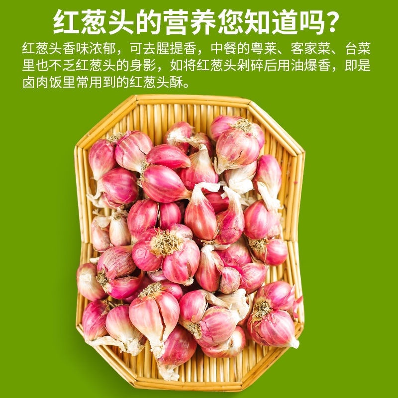 红葱头云南四川香葱火葱产地直销支持一件代发