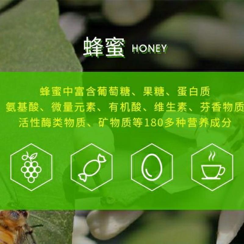 蜂蜜龙眼蜜兴化桂园蜜蜂蜜高蛋白饮品正宗农家龙眼蜜包邮