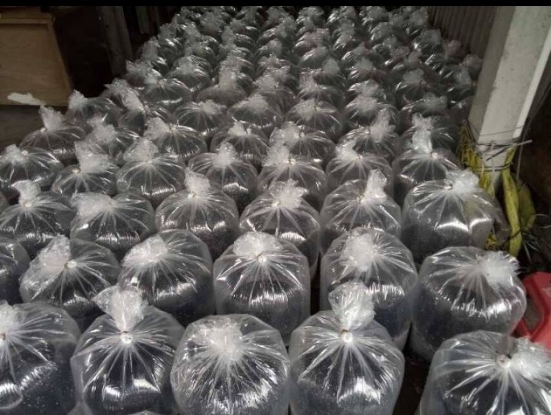 养殖场直销牛蛙苗牛蛙蝌蚪苗提供养殖技术指导