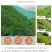 宽叶雀稗草种牧草种子护坡绿化固土复绿种子草坪种子