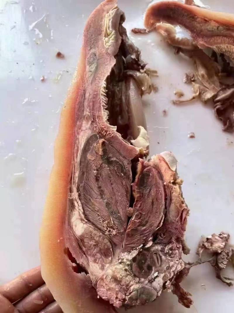熟牛头肉，自产自销，清蒸牛脸肉，酱香，原味牛头肉