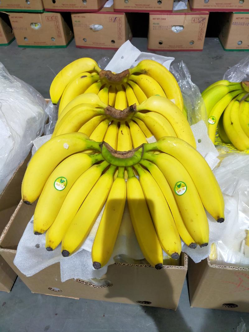 香蕉特价、新鲜货，果面干净、超市特价引流，马路打游击