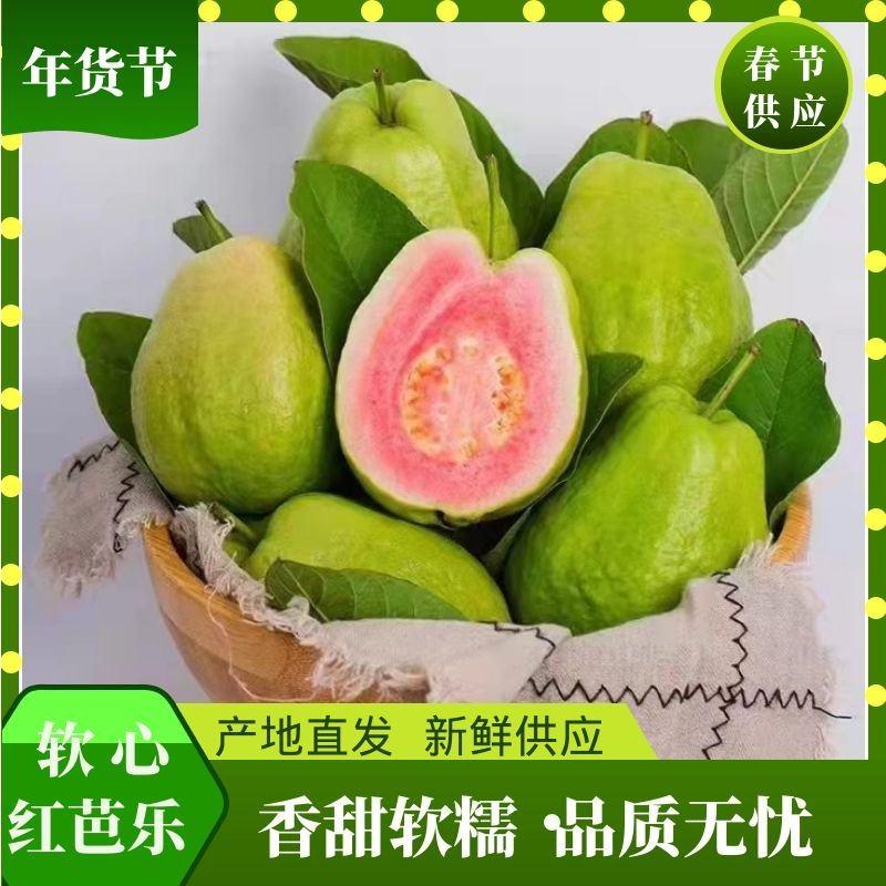 福建漳州红心芭乐番石榴3斤5斤当季新鲜水果包邮