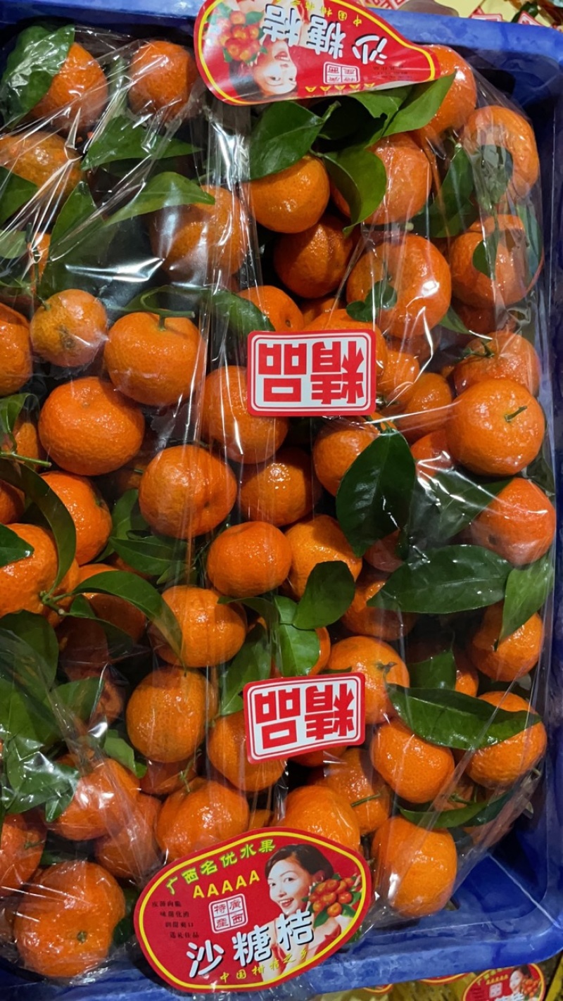 砂糖橘诚信代办江永县回龙圩
