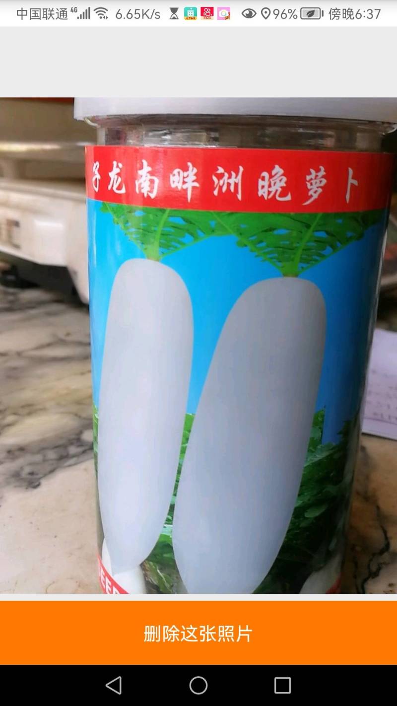 南畔洲晚萝卜，大萝卜。