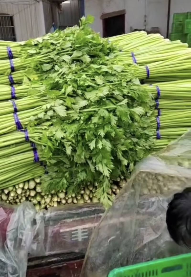 大棚鲜菜净菜上车精品小把