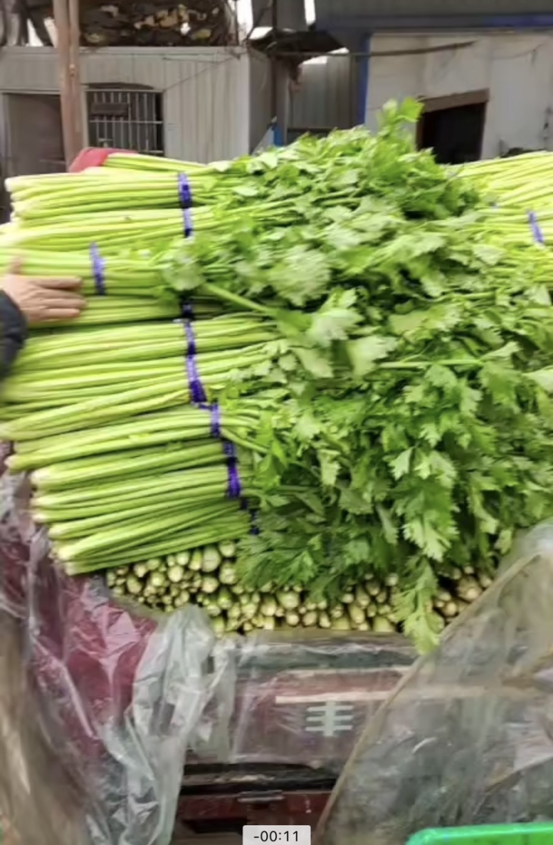 大棚鲜菜净菜上车精品小把