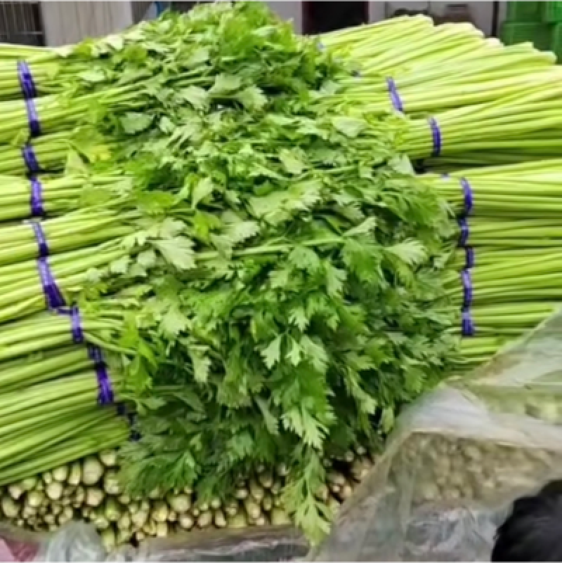 大棚鲜菜净菜上车精品小把