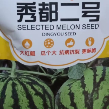 西瓜种子秀都二号(美佳二号）大红瓤瓜个大抗病抗裂更酥