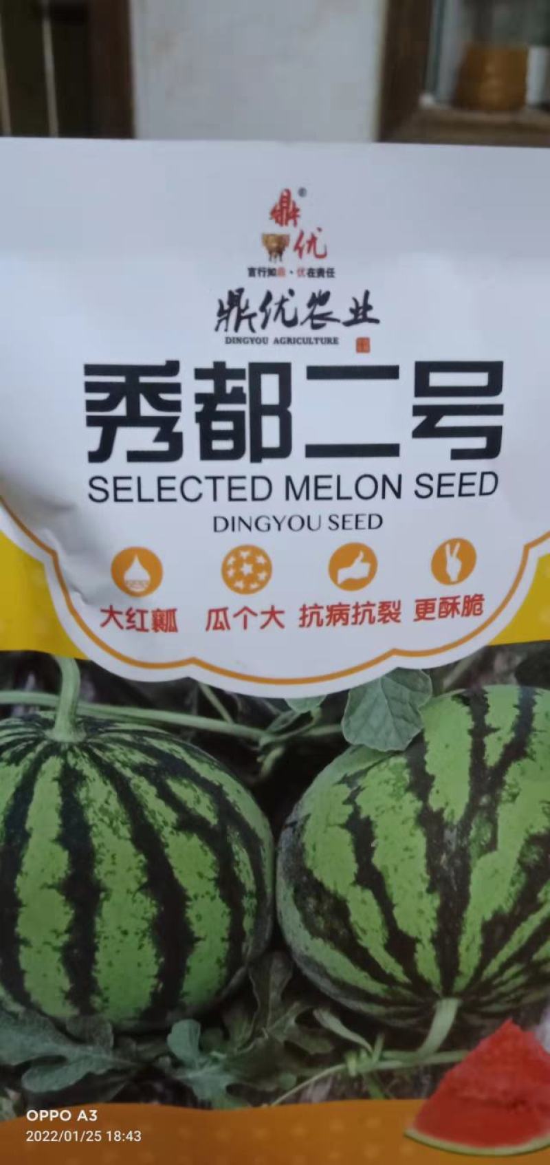 西瓜种子秀都二号(美佳二号）大红瓤瓜个大抗病抗裂更酥