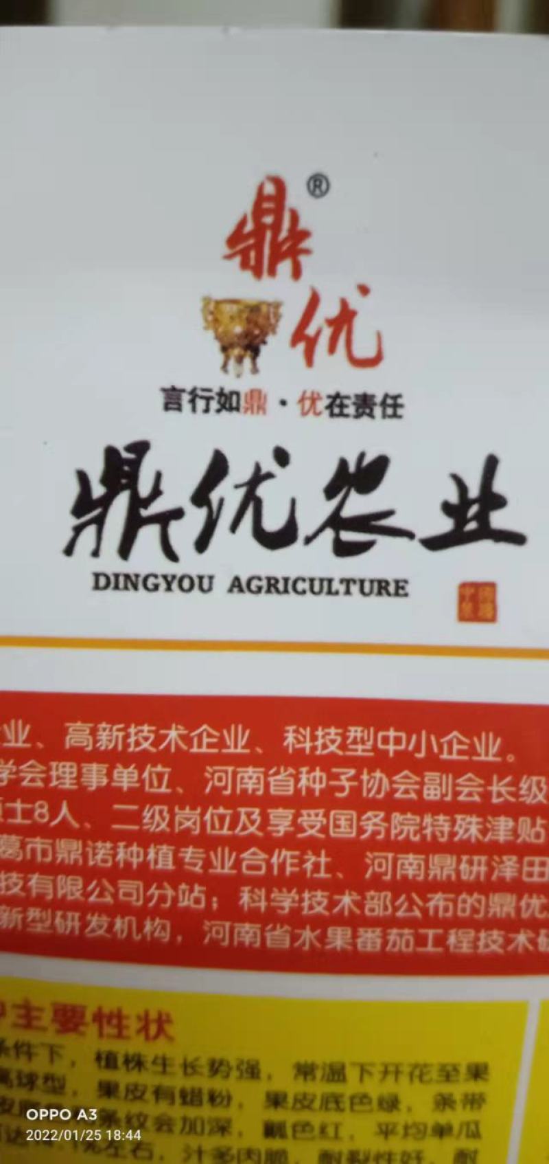 西瓜种子秀都二号(美佳二号）大红瓤瓜个大抗病抗裂更酥