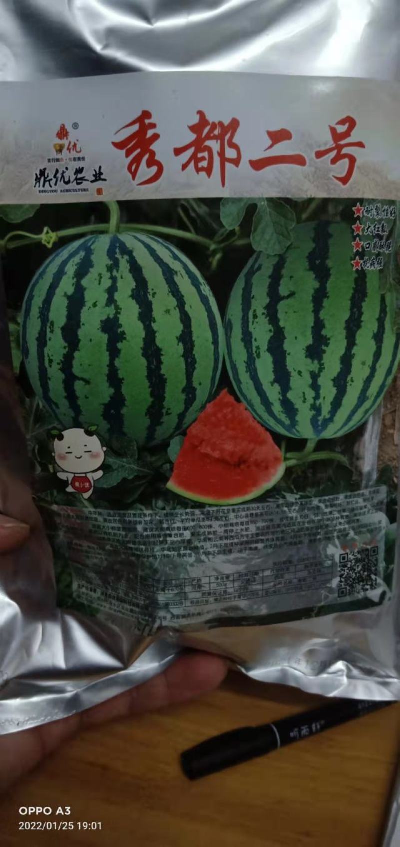 西瓜种子秀都二号（美佳二号）大红瓤瓜个大抗病抗，裂酥脆