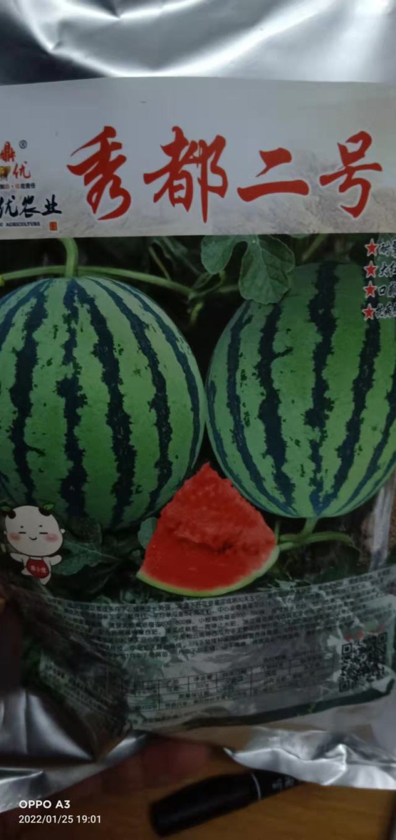 西瓜种子秀都二号（美佳二号）大红瓤瓜个大抗病抗，裂酥脆