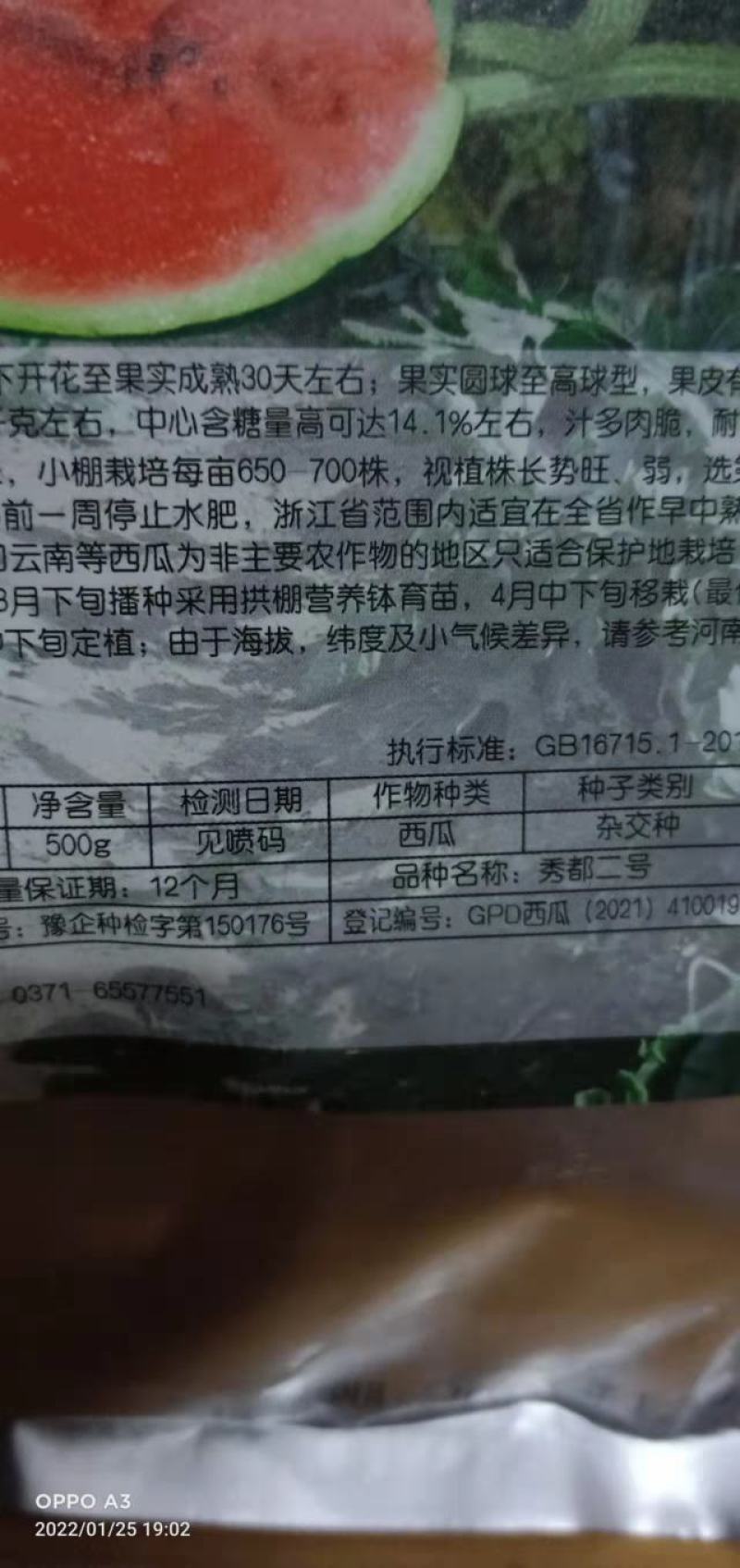 西瓜种子秀都二号（美佳二号）大红瓤瓜个大抗病抗，裂酥脆