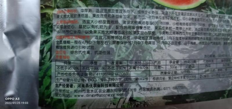 西瓜种子秀都二号（美佳二号）大红瓤瓜个大抗病抗，裂酥脆