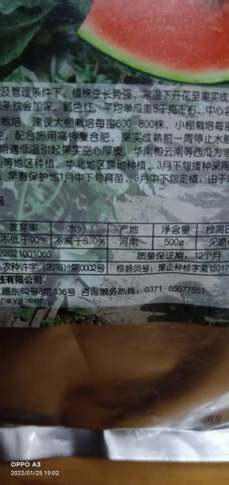 西瓜种子秀都二号（美佳二号）大红瓤瓜个大抗病抗，裂酥脆