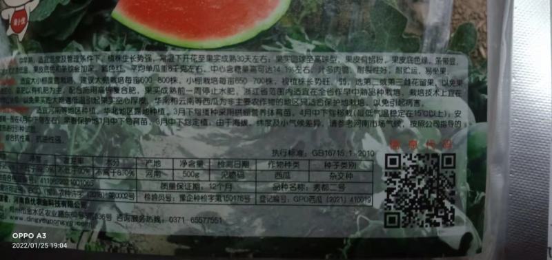 西瓜种子秀都二号（美佳二号）大红瓤瓜个大抗病抗，裂酥脆