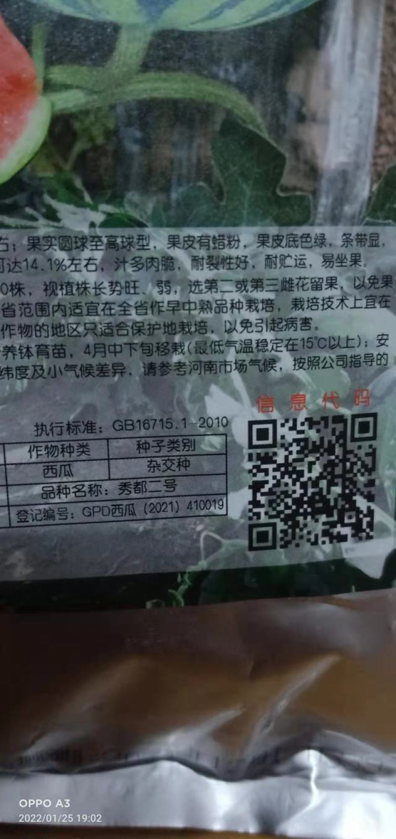 西瓜种子秀都二号（美佳二号）大红瓤瓜个大抗病抗，裂酥脆