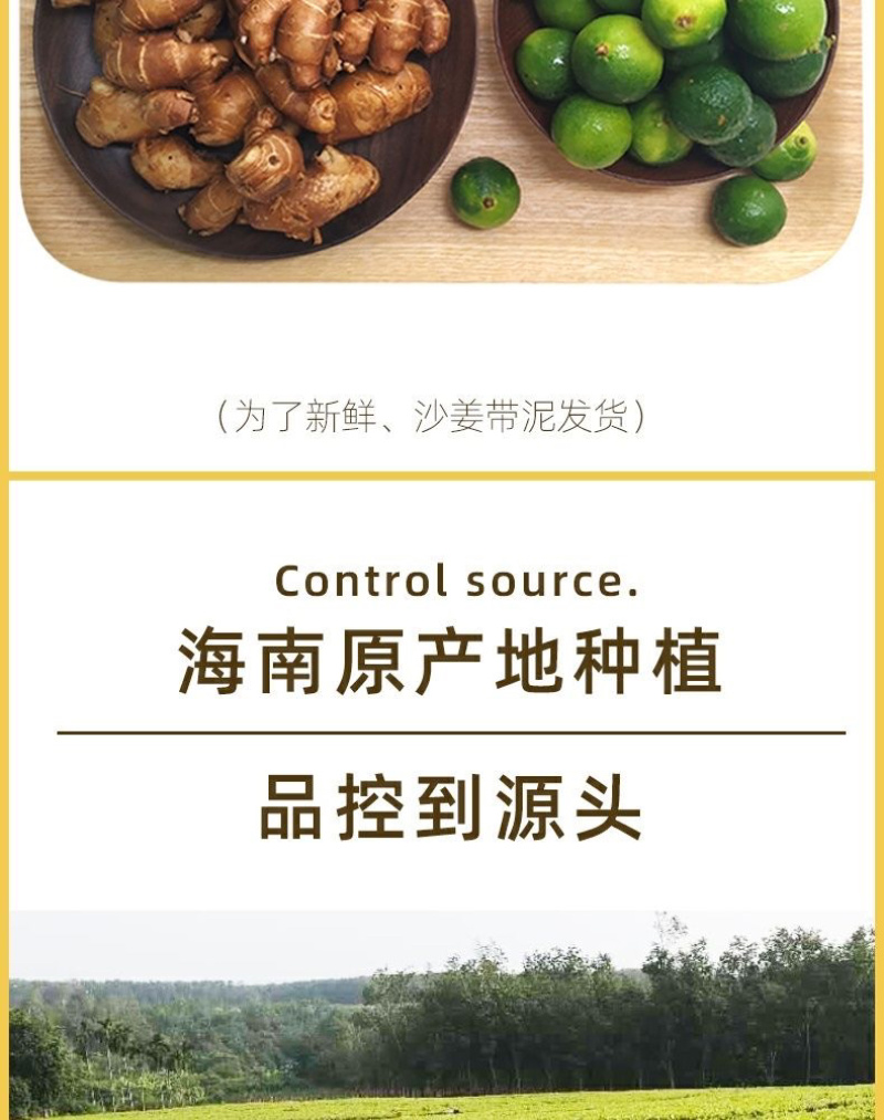 本地沙姜海南沙姜基地直发长年供应支持一件代发