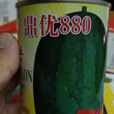 西瓜种子鼎优880早熟椭圆形墨绿皮含糖量高