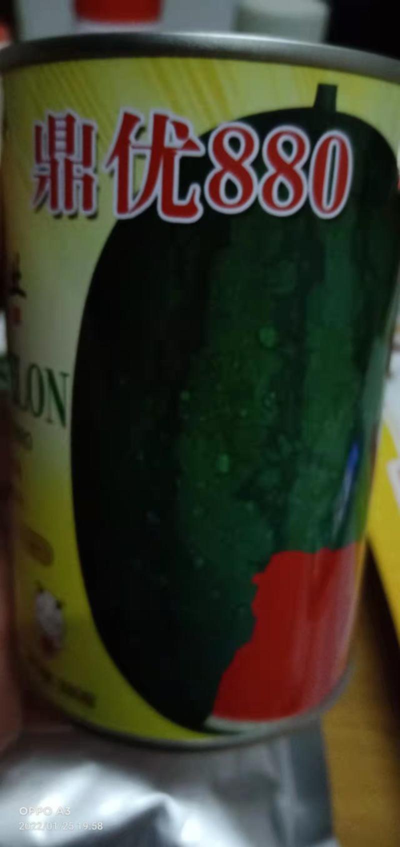 西瓜种子鼎优880早熟椭圆形墨绿皮含糖量高