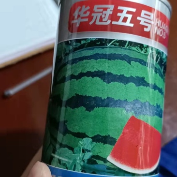 华冠五号西瓜种高抗枯萎病炭疽病抗重茬果型特大花皮漂亮。。