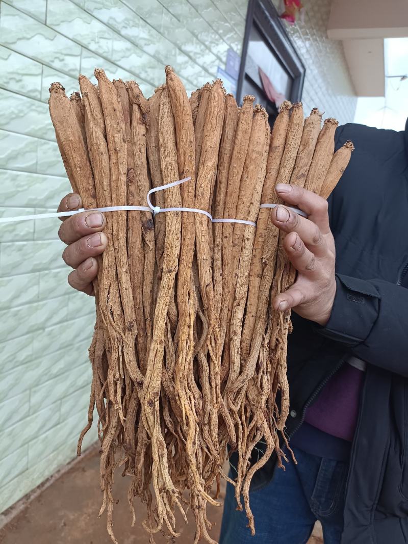 贵州威宁鲜党参，自产自销，产地现挖食用煲汤补品