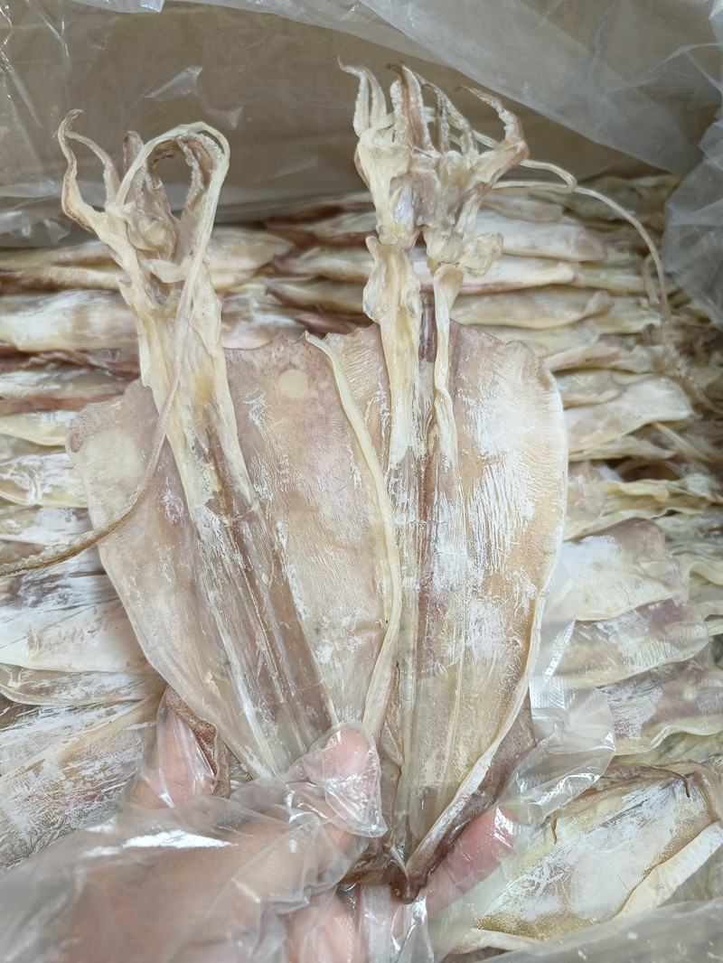 阳江特产闸坡鱿鱼干本地鱿鱼淡干船晒鱿鱼干自吃送礼佳品特级