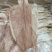 阳江特产闸坡鱿鱼干本地鱿鱼淡干船晒鱿鱼干自吃送礼佳品特级