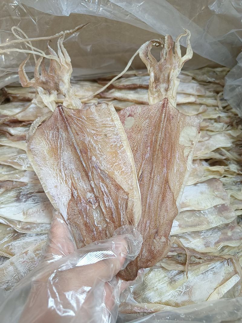 阳江特产闸坡鱿鱼干本地鱿鱼淡干船晒鱿鱼干自吃送礼佳品特级