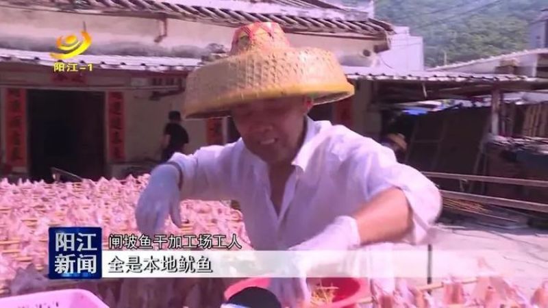 阳江特产闸坡鱿鱼干本地鱿鱼淡干船晒鱿鱼干自吃送礼佳品特级