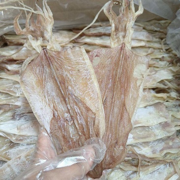 阳江特产闸坡鱿鱼干本地鱿鱼淡干船晒鱿鱼干自吃送礼佳品特级