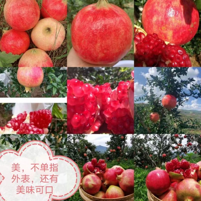 自己果园