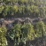 金边黄杨新农村建行道风景公园绿化植树造林占地用苗房地产绿
