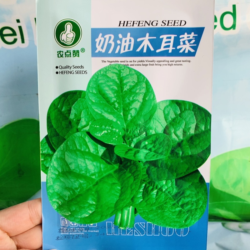 奶油木耳菜种子叶片大肥厚耐抽苔四季蔬菜种子批发小菜园
