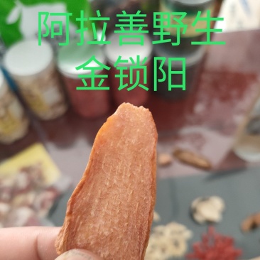 锁阳切片阿拉善沙漠锁阳苁蓉大量批发红枸杞黑枸杞