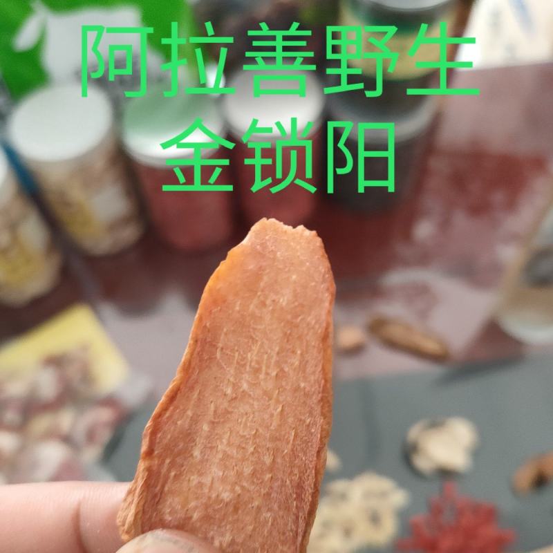 锁阳切片阿拉善沙漠锁阳苁蓉大量批发红枸杞黑枸杞