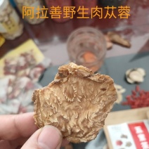 肉苁蓉切片阿拉善沙漠野生肉苁蓉大量批发